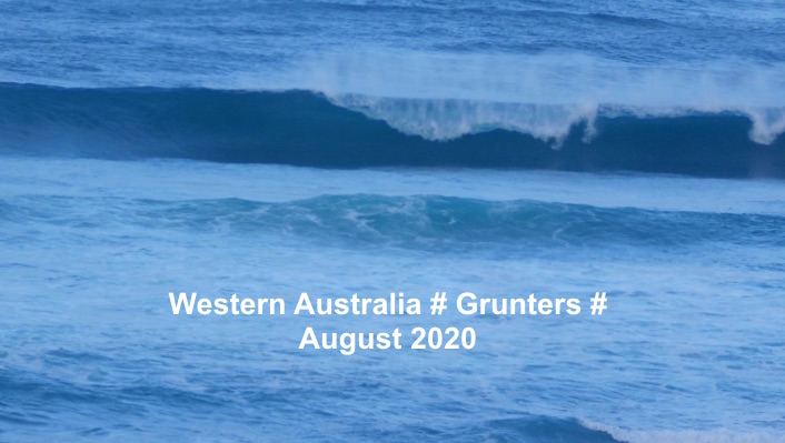 GRUNTERS - AUGUST 2020
