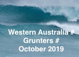 WESTERN AUSTRALIA # GRUNTERS # OCTOBER # 2019