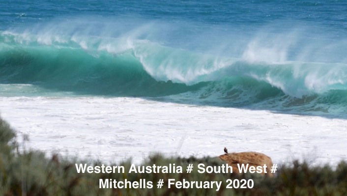 WESTERN AUSTRALIA # MITCHELLS # FEBRUARY 2020