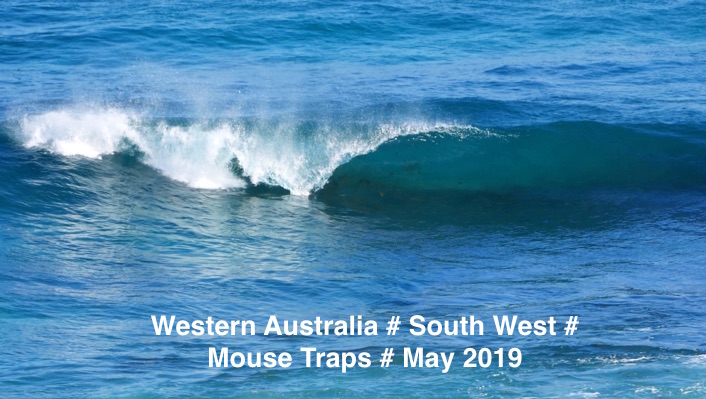 MOUSE TRAPS # MAY 2019