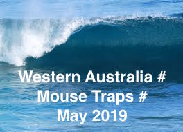 WESTERN AUSTRALIA # MOUSE TRAPS # MAY # 2019