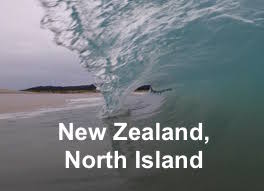 NZ 1