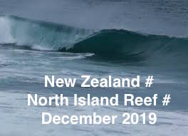 NEW ZEALAND # NZ REEF # DECEMBER # 2019