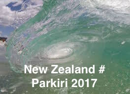 NEW ZEALAND PARKIRI 2017