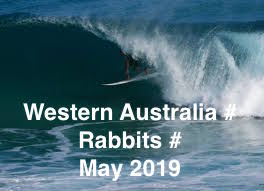 WESTERN AUSTRALIA # RABBITS # MAY # 2019