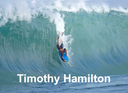 TIMOTHY HAMILTON