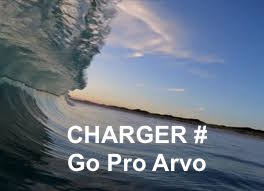 GO PRO ARVO