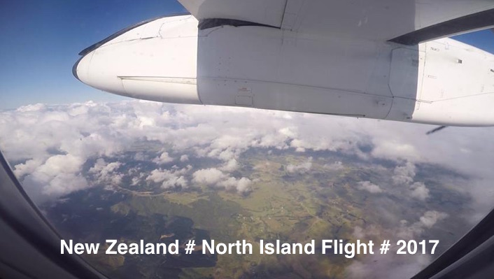 NZ # FLIGHT # 2017
