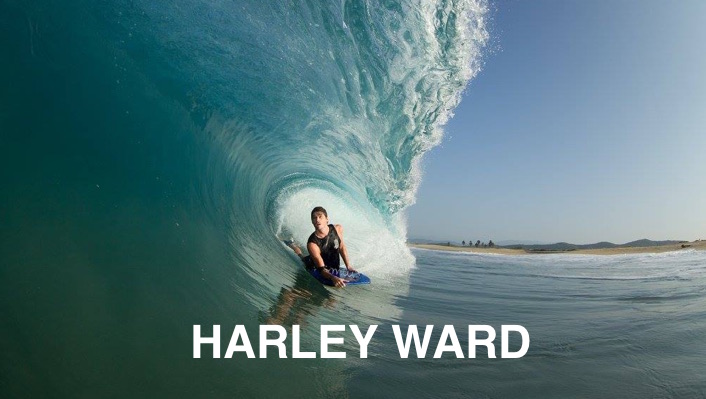 HARLEY WARD