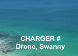 SWANNY