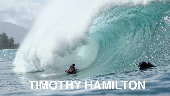 TIMOTHY HAMILTON